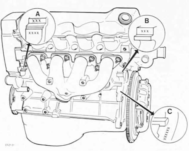 Ford Fiesta Reparaturanleitung. Der motor